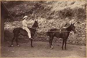 Captain H.S. Rawhinson (recto) by Raja Deen Dayal (Indian, 1844–1905)