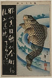 Carp and Waterweeds
