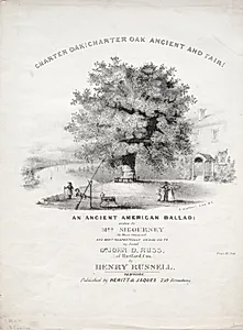 Charter Oak!  Charter Oak Ancient and Fair!