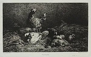 Chickens by Charles-Émile Jacque (French, 1813–1894)