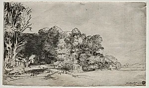 Clump of Trees with a Vista by Rembrandt van Rijn (Dutch, 1606–1669)