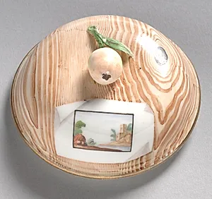 Cover for a Bowl