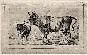Cow and Ass by Charles Meryon (French, 1821–1868)