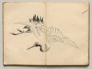 Crane from Ōkyo Picture Book by Maruyama Ōkyo (Japanese, 1733–1795)