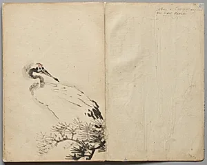 Crane from Sketch Album by Kawanabe Kyōsai (Japanese, 1831–1889)