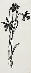 Daffodils by Harry Fenn (American, 1838/45–1911)