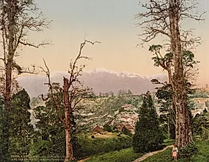 Darjeeling. Kinchinjunga and the Snows from Beechwood Park by Photoglob Co. (Zurich, active c. 1890–1910)