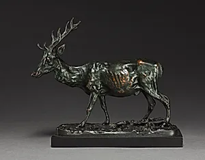 Deer