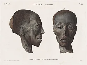 Description of Egypt: Thebes. Hypogees Vol. II, Pl. 49 by Antoine Maxime Monsaldy (French, 1768–1816)