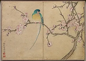 Desk Album: Flower and Bird Paintings (Bird with Plum Blossoms) by Zhang Ruoai (Chinese, 1713–1746)