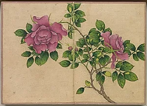 Desk Album: Flower and Bird Paintings (Rose) by Zhang Ruoai (Chinese, 1713–1746)