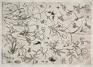 Dinner Service (Rousseau service): Flowers and Insects (no. 15) by Félix Bracquemond (French, 1833–1914)