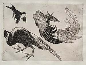 Dinner Service (Rousseau service): Pheasants and bird (no. 18) by Félix Bracquemond (French, 1833–1914)