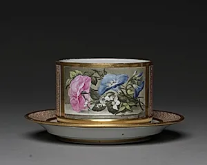 Dish