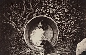 Dog and Puppy in Barrel by Auguste Giraudon's Artist (French)