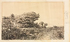 Edge of Marsh at Couronne by Félix Ziem (French, 1821–1911)