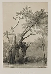 Egypt and Nubia, Volume III: The Holy Tree of Metereah by Louis Haghe (British, 1806–1885)