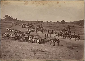 Elephant Battery on March at Jhansi by Raja Deen Dayal (Indian, 1844–1905)