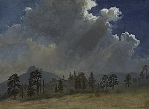 Fir Trees and Storm Clouds by Albert Bierstadt (American, 1830–1902)