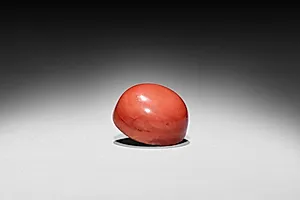 Flattened Ovoid Snuff Bottle with  Stopper (stopper) by Unknown Artist