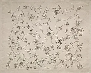 Flower designs for plates and borders (no. 14) by Félix Bracquemond (French, 1833–1914)