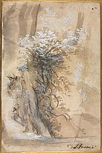 Flowering Bush above an Eroded Bank