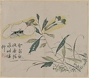 Flowering Lily by Unknown Artist