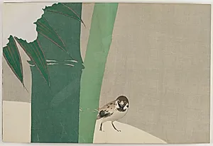 Flowers of a Hundred Worlds (Momoyogusa): Bamboo in Snow (Secchuchiku) by Kamisaka Sekka (Japanese, 1866–1942)