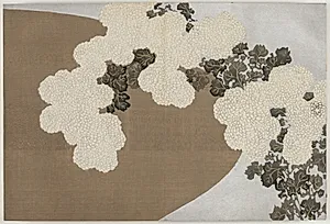Flowers of a Hundred Worlds (Momoyogusa): Chrysanthemums (Momoyogusa) by Kamisaka Sekka (Japanese, 1866–1942)