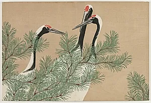 Flowers of a Hundred Worlds (Momoyogusa): Cranes (Tsuru) by Kamisaka Sekka (Japanese, 1866–1942)