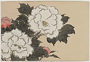Flowers of a Hundred Worlds (Momoyogusa): Peonies (Fukamigusa) by Kamisaka Sekka (Japanese, 1866–1942)