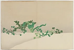 Flowers of a Hundred Worlds (Momoyogusa): Seven Herbs of Early Spring (Nanagusa) by Kamisaka Sekka (Japanese, 1866–1942)