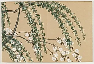 Flowers of a Hundred Worlds (Momoyogusa): Willow and Cherry (Yanagizakura) by Kamisaka Sekka (Japanese, 1866–1942)