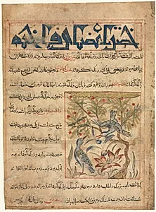 Folio from a Persian Manafi‘ al-Hayawan (The Benefits of Animals) of Abu Said Ubaid-Allah ibn Jibrail ibn Bakhtishu (died 1058–68) (recto) by Unknown Artist