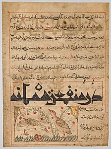 Folio from a Persian Manafi‘ al-Hayawan (The Benefits of Animals) of Abu Said Ubaid-Allah ibn Jibrail ibn Bakhtishu (died 1058–68) (verso) by Unknown Artist