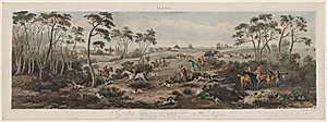 Fox Hunting, No. 1