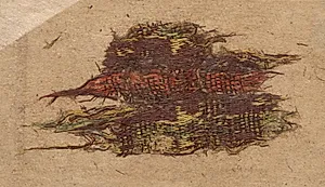 Fragment by Unknown Artist