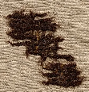 Fragment of Tabby Cloth by Unknown Artist