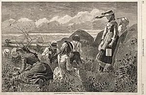 Gathering Berries by Winslow Homer (American, 1836–1910)
