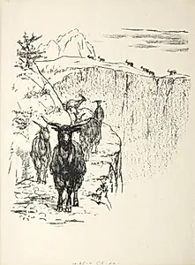 Goats by August Gaul (German, 1869–1921)