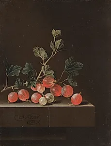Gooseberries on a Table