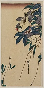 Grosbeak and Clematis by Utagawa Hiroshige (Japanese, 1797–1858)