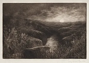 Haunt of the Mosquito by Francis Seymour Haden (British, 1818–1910)