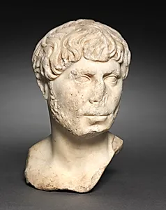 Head of a Bearded Man by Unknown Artist