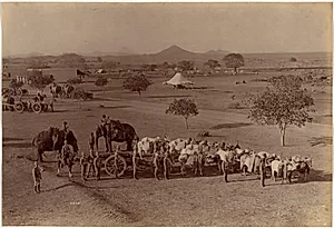 Heavy Field Battery, Jhansi by Raja Deen Dayal (Indian, 1844–1905)
