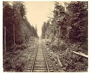 Hemlock Forest, Lehigh Valley Railroad by William H. Rau (American, 1855–1920)