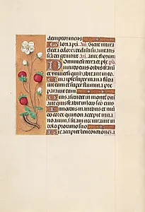 Hours of Queen Isabella the Catholic, Queen of Spain:  Fol. 102v by Master of the First Prayerbook of Maximillian (Flemish, c. 1444–1519)