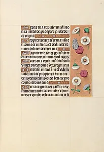 Hours of Queen Isabella the Catholic, Queen of Spain:  Fol. 104r by Master of the First Prayerbook of Maximillian (Flemish, c. 1444–1519)