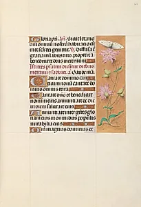 Hours of Queen Isabella the Catholic, Queen of Spain:  Fol. 107r by Master of the First Prayerbook of Maximillian (Flemish, c. 1444–1519)