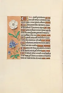 Hours of Queen Isabella the Catholic, Queen of Spain:  Fol. 109v by Master of the First Prayerbook of Maximillian (Flemish, c. 1444–1519)